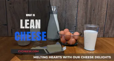 Understanding Lean Cheese: A Healthy, Low-Fat Dairy Delight Explained