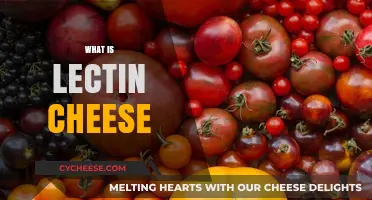 Understanding Lectin Cheese: Benefits, Risks, and How It's Made