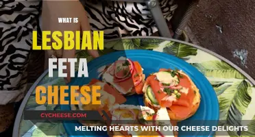 The Unique Taste of Lesbian Feta Cheese
