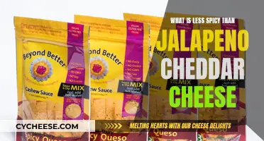 Exploring Cheeses Less Fiery Than Jalapeño Cheddar