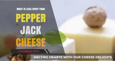 Milder Cheese Alternatives: Discover What’s Less Spicy Than Pepper Jack