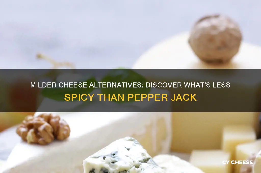 what is less spicy than pepper jack cheese
