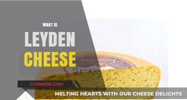Discovering Leyden Cheese: A Unique Dutch Delight with Cumin Twist