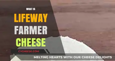 Discover Lifeway Farmer Cheese: A Creamy, Tangy, Probiotic-Rich Delight