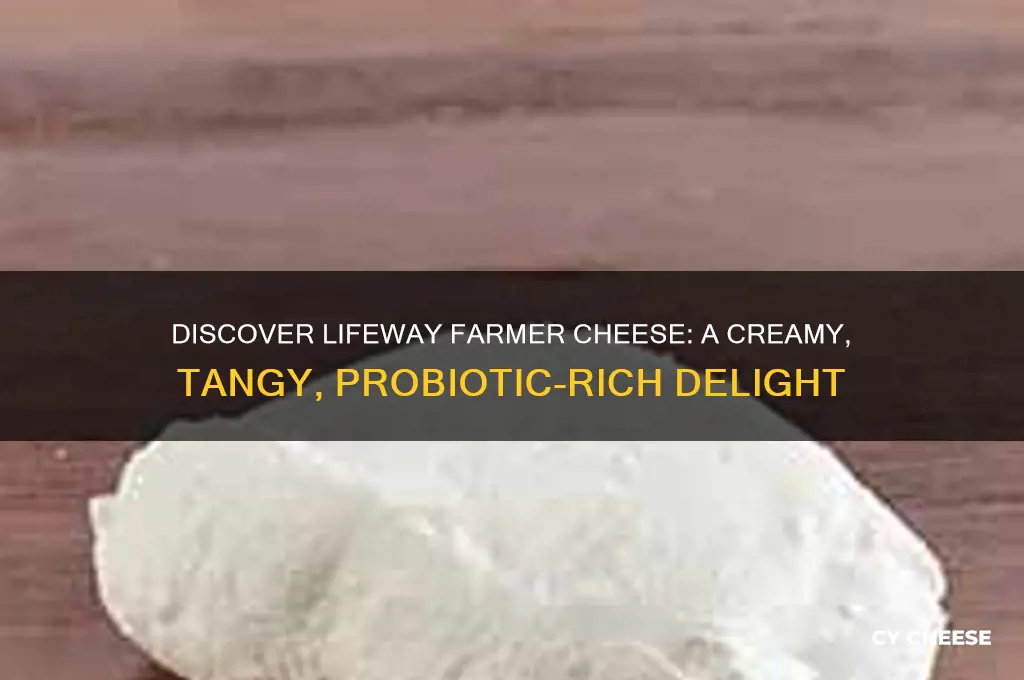 what is lifeway farmer cheese