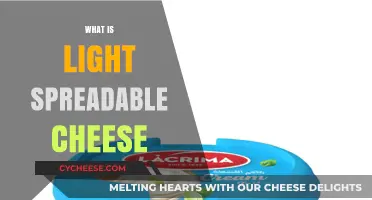 Discover Light Spreadaable Cheese: Benefits, Uses, and Top Brands