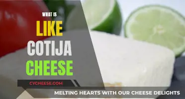 The Unique Taste of Cotija Cheese Explained