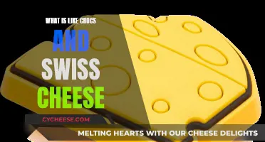 The Unlikely Pair: Crocs, Swiss Cheese, and Their Surprising Similarities