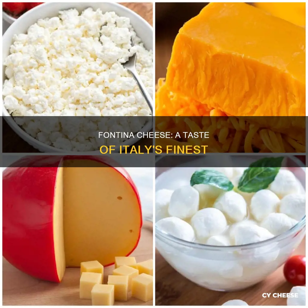 what is like fontina cheese