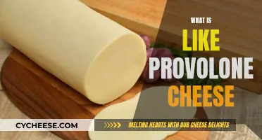 The Creamy, Nutty Taste of Provolone Cheese