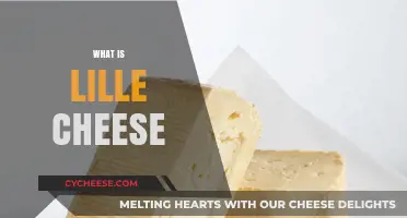 Discover the Rich Flavors and History of Authentic Lille Cheese