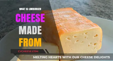 Limburger's Unique Flavor: Unveiling Its Bacterial Origin