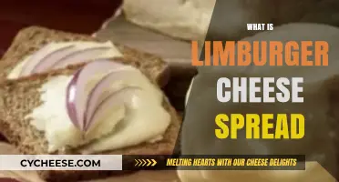 Discover Limburger Cheese Spread: A Unique, Pungent, and Flavorful Delight