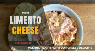 Discover the Unique Flavor and Origin of Limento Cheese