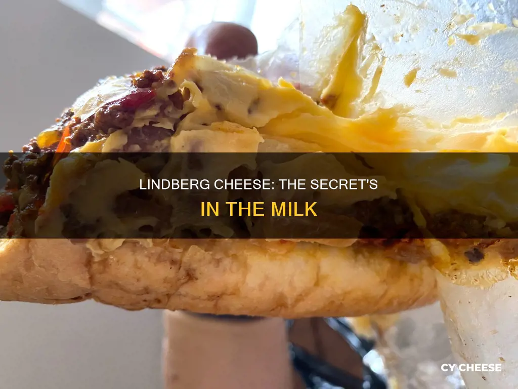 what is linberg cheese made out of