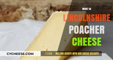 Discover the Rich, Nutty Flavors of Lincolnshire Poacher Cheese