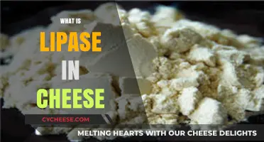 Understanding Lipase: Its Role and Impact in Cheese Making