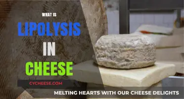 Understanding Lipolysis: The Key to Flavor Development in Cheese
