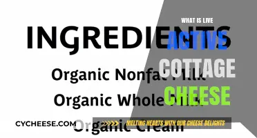 Understanding Live Active Cottage Cheese: Benefits, Uses, and Nutrition Explained