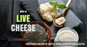 Discover the Magic of Live Cheese: A Probiotic Delight