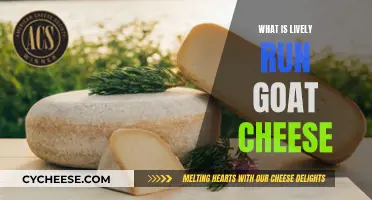 Exploring the Delights of Lively Run Goat Cheese: A Tasty Adventure