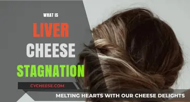 Understanding Liver Cheese Stagnation: Causes, Symptoms, and Remedies Explained