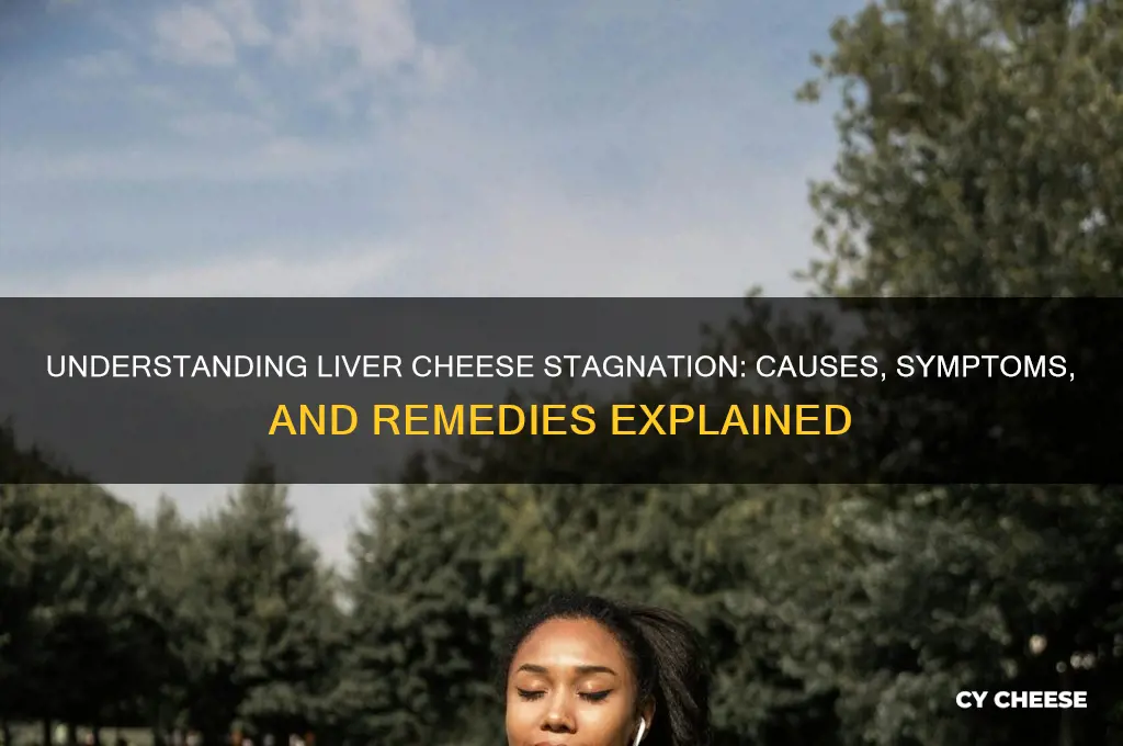 what is liver cheese stagnation