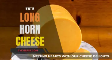 Longhorn Cheese: A Tasty, Tangy, and Unique Treat