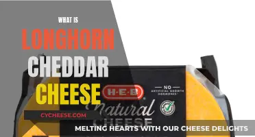 Unveiling the Secrets of Longhorn Cheddar: A Cheesy Adventure