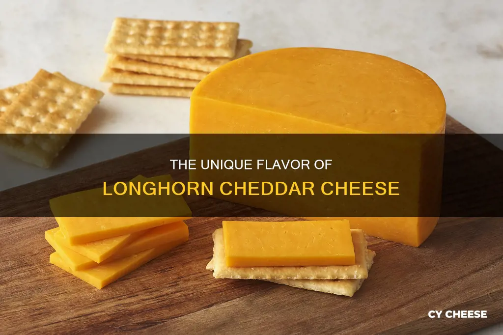 what is longhorn cheddar cheese