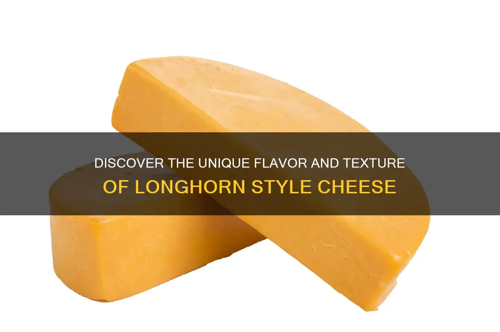 what is longhorn style cheese