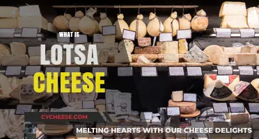 What is Lotsa Cheese? Exploring the Cheesiest Delight Ever