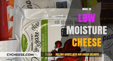 Understanding Low Moisture Cheese: Uses, Benefits, and Popular Varieties