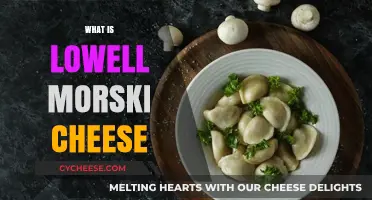 Exploring Lowell Morski Cheese: Origins, Flavor, and Culinary Uses