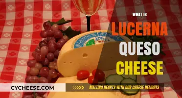 Discover Lucerna Queso Cheese: Origins, Flavor, and Culinary Uses