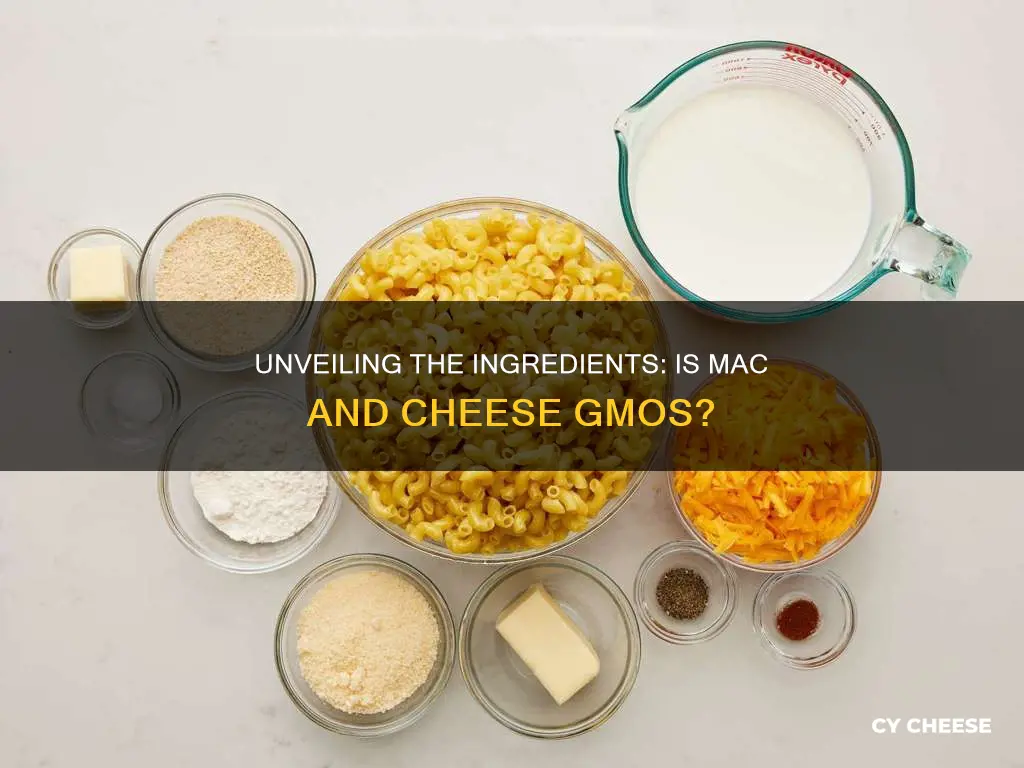 what is macaroni and cheese gmo made of