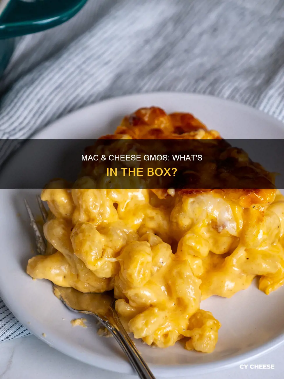 what is macaroni and cheese gmo made of