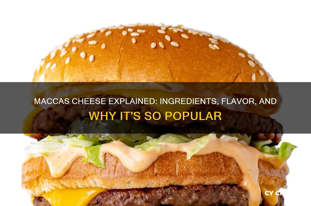 what is maccas cheese