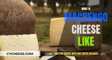 Discovering the Unique Taste of Machengo Cheese