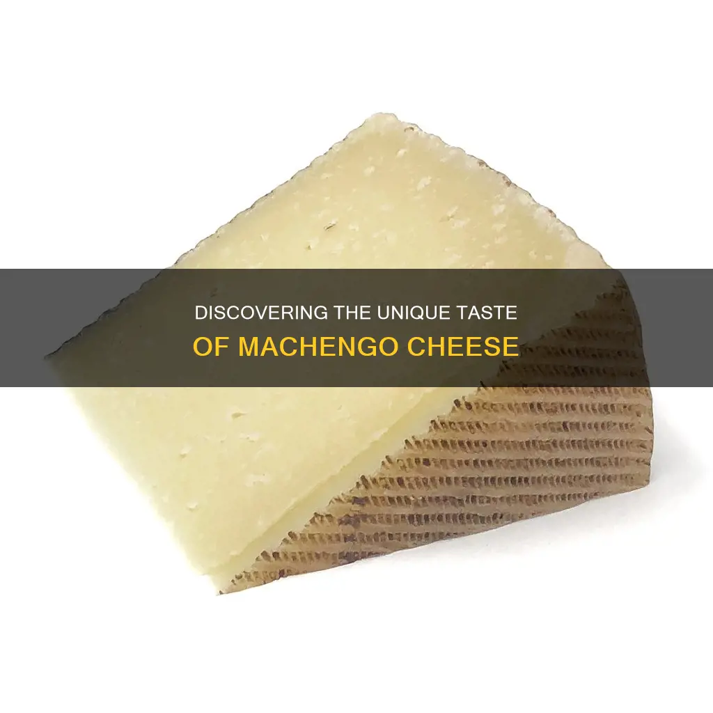 what is machengo cheese like
