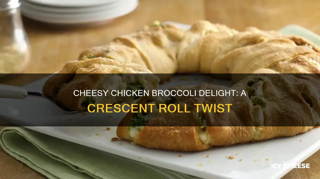 what is made with chicken cheese broccoli and crescent rolls