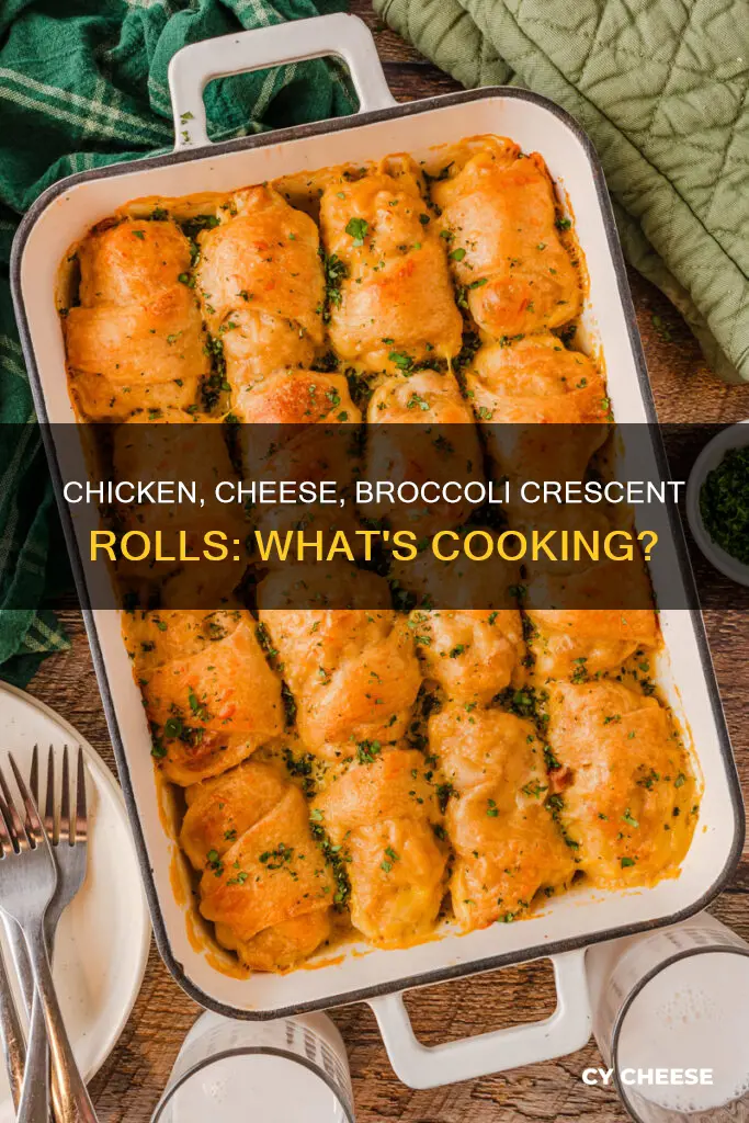 what is made with chicken cheese broccoli and crescent rolls