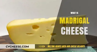 Discover Madrigal Cheese: Origins, Flavor, and Culinary Uses Explained