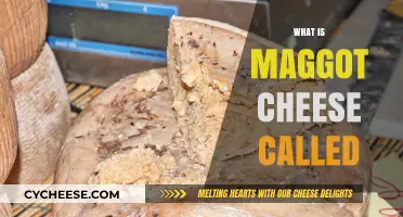 Exploring Casu Marzu: The Controversial Maggot-Infested Cheese of Sardinia