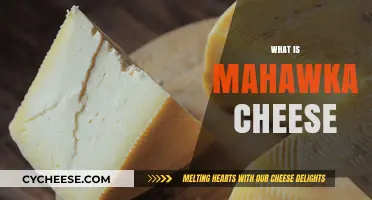 Discovering Mahawka Cheese: Origins, Flavor, and Culinary Uses Explained