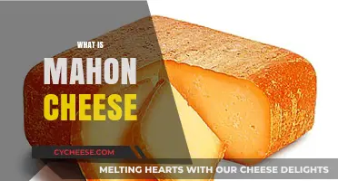 Discover Mahon Cheese: Spain's Smoky, Buttery Menorca Treasure