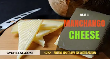 Discover Manchango Cheese: Origins, Flavor, and Culinary Uses Explained
