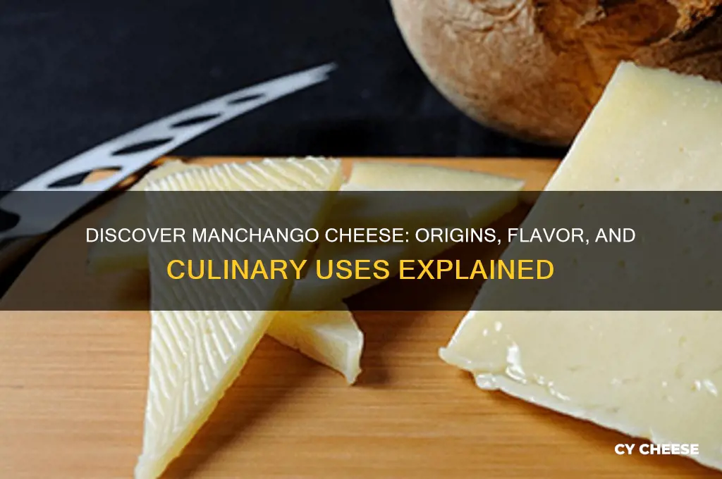 what is manchango cheese
