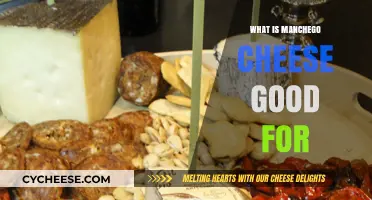 Discover Manchego Cheese: Uses, Benefits, and Delicious Pairings