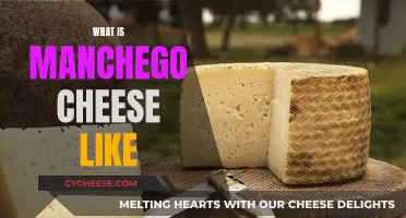 Manchego Cheese: What's the Unique Flavor Like?